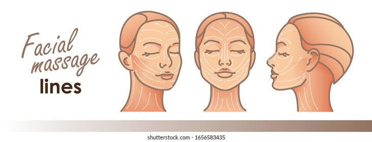 Massage facial lines. Beauty treatment, skin care, massage lines. Vector illustration. For your design