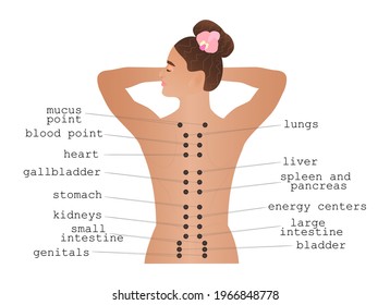 Massage points on the back. Acupuncture points. Girl's back, top view. The areas of the back are responsible for the internal organs and systems of a person.