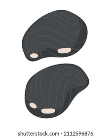 Massage stones for hotel bathroom or home spa. Vector isolated colorful element.