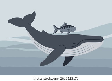 Massive dark blue whale swimming peacefully with a smaller striped fish riding on its back in deep ocean water.