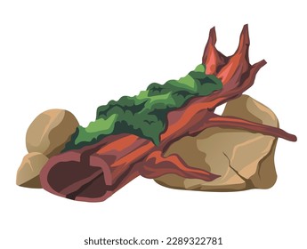 Massive rocks and stones and fallen tree grown with moss. Natural habitat for flowerless plant, vegetation and botany of forest or woods. Flower on grown in damp and moist space. Vector in flat style