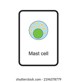 Mast Cell Cellular Schematic Structure Vector Illustration, Eps10 Icon