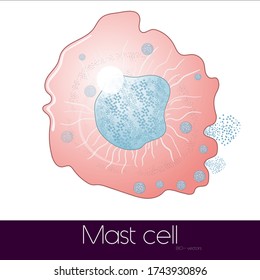 Mast Cell Degranulating Its Granular Content Vector Illustration Eps