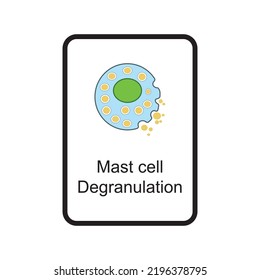 Mast Cell - Degranulation Phase Cellular Schematic Structure Vector Illustration, Eps10 Icon