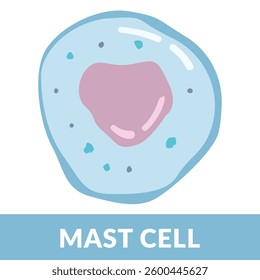 mast cell design vector Illustration