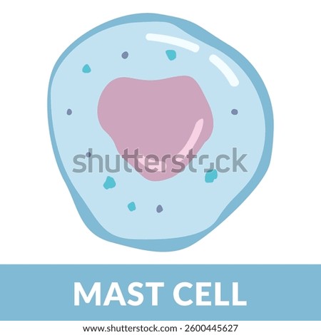 mast cell design vector Illustration