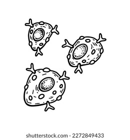 Mast cell isolated on white background. Hand drawn scientific microbiology vector illustration in sketch style