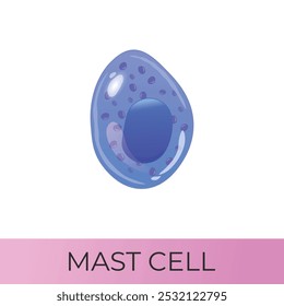Mastócitos. Célula do sistema mieloide. Ícone de vetor isolado