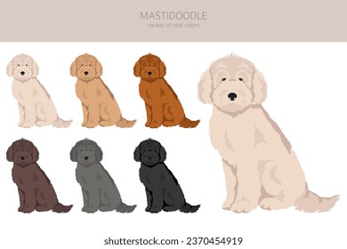 Mastidoodle clipart. Mastiff Poodle mix. Different coat colors set.  Vector illustration