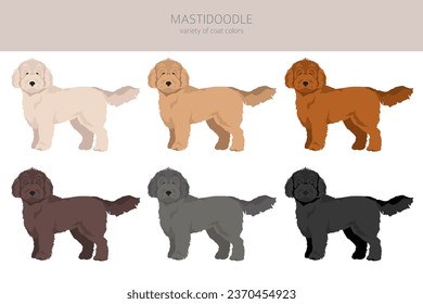 Mastidoodle clipart. Mastiff Poodle mix. Different coat colors set.  Vector illustration