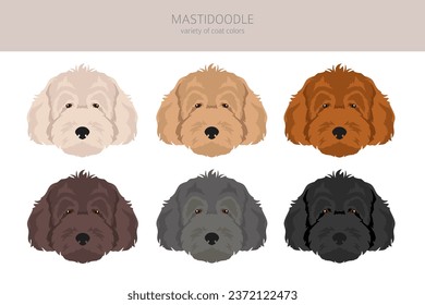 Mastidoodle clipart. Mastiff Poodle mix. Different coat colors set.  Vector illustration