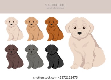 Mastidoodle clipart. Mastiff Poodle mix. Different coat colors set.  Vector illustration