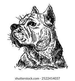 Mastín, bulldog, blanco y negro sobre fondo blanco, cabeza, dibujo, ilustración, eps, emoción del perro, espera del perro, devoción del perro, imagen dibujada a mano, mirada del perro