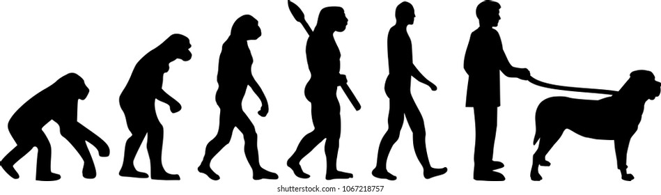 Mastiff evolution darwin with silhouettes