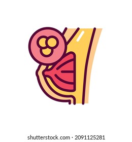 Mastitis color line icon. Isolated vector element. Outline pictogram for web page, mobile app, promo