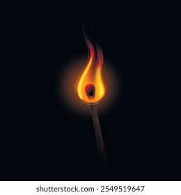 A match burns in the dark. A lit match on a dark background.