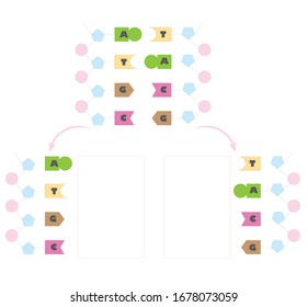 coincidencia de molécula de dna gráfico