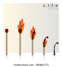 Match time lapse, Life cycle, vector, illustration