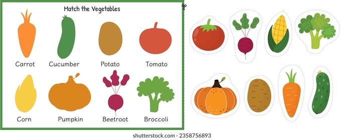 Match the vegetable activity sheet for kids. Matching game for school and preschool. Learning vegetables for toddlers. Cut and glue worksheet. Vector illustration