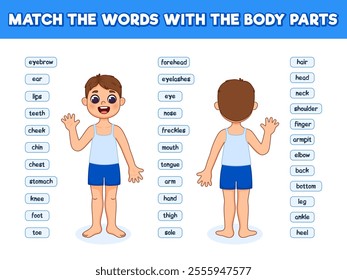 Match the words with the body parts. Anatomy poster with body parts name of the boy. Cute cartoon illustration. Children's game.