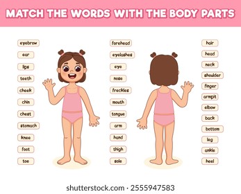 Match the words with the body parts. Anatomy poster with body parts name of the girl. Cute cartoon illustration. Children's game.