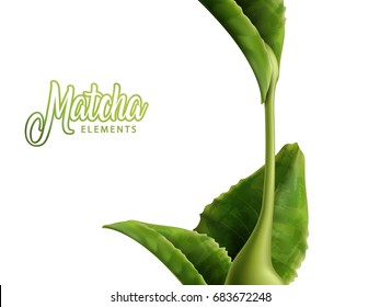 Matcha element with green leaves and sauce isolated on white background in 3d illustration