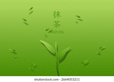 Matcha, green tea, leaf and power illustration on green background.  Matcha green tea background. Vector illustration. Text means Matcha or green tea.