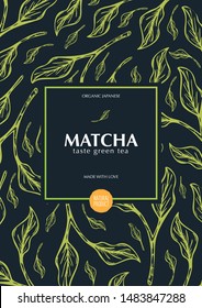Matcha green tea. Organic Japanese Product. Banner with hand draw leaves on the background