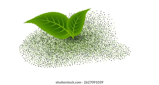 Matcha green tea powder, abstract shape pile,  splash with fresh leaves.  Healthy organic drink  ingredient.  Isolated vector on white background, top view