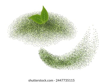 Matcha green tea powder splash with green leaves, fresh natural ingredients. Isolated vector on white background, top view