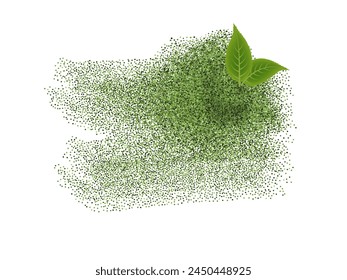 Matcha té verde en polvo salpicar con hojas verdes, ingredientes naturales frescos. Vector aislado sobre fondo blanco, vista superior