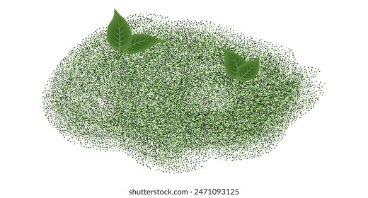 Matcha green tea powder splash with green leaves, fresh natural ingredients. Isolated vector on white background, top view
