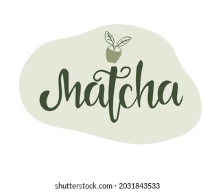 Matcha green tea vector lettering. Asian drink quotes. Vector illustration isolated. Hand drawn illustration.
