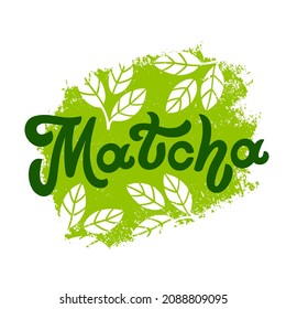Matcha lettering design. Decoration with green leaves for tea product. Hand-drawn vector calligraphy. Asian japanese beverage. Green tea drink. Logo.