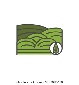 Matcha plantation color line icon. Pictogram for web page, mobile app, promo.