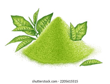 Matcha powder and leaves green tea. Japanese beverage. Shredded leaves for green tea drink. Sketch in vintage pointillism style. Engraved vector.