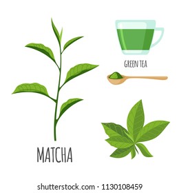 Matcha Set With Cup Of Tea In Flat Style Isolated On White Background. Organic Healthy Food. Medicinal Herbs Collection. Ayurvedic Plant. Vector Illustration.