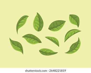 Matcha Set Polvo Té verde Ingrediente de hoja japonesa Elemento de polvo Hierba Icono de dibujos animados tradicionales