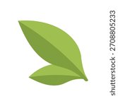 Matcha tea green leaves vector flat design illustration  on white background. Japanese healthy green tea bush leaf symbol for menu, banner, poster, web, emblem.