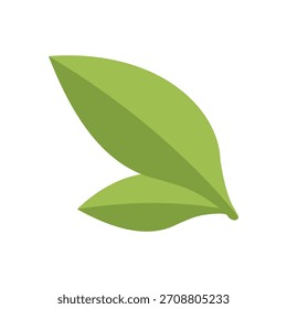 Vector Ilustración de diseño plano de hojas de té verde de Matcha sobre fondo blanco. Símbolo de hoja de arbusto de té verde saludable japonés para menú, Anuncio, póster, Web, emblema.