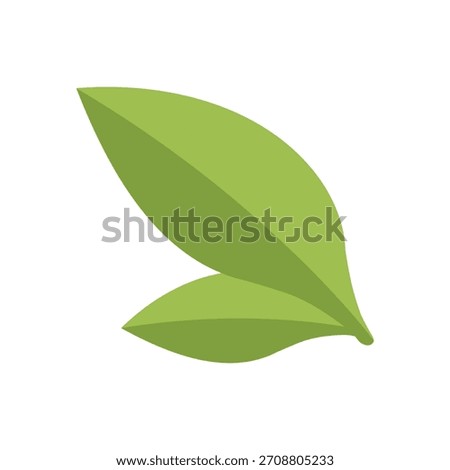 Matcha tea green leaves vector flat design illustration  on white background. Japanese healthy green tea bush leaf symbol for menu, banner, poster, web, emblem.