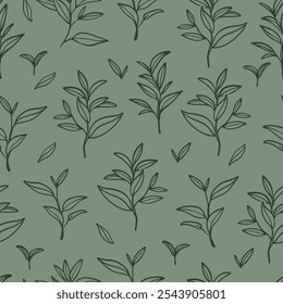 Matcha tea leaves seamless pattern. Outline branches and leaves on soft green background.