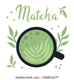 Matcha tea. Mug with matcha and green tea leaves. Vector illustration. Natural green tea.