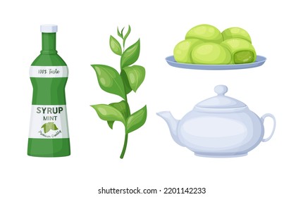 Matcha tea products, teapot of beverage, mint syrup and truffle. Japanese traditional tea ceremony objects set. Organic natural vegetarian products for healthy diet cartoon vector