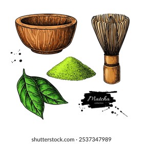 Matcha tea vector drawing. Bowl with matcha powder, green tea leaves, and bamboo whisk sketch. Hand-drawn Asian drink elements 