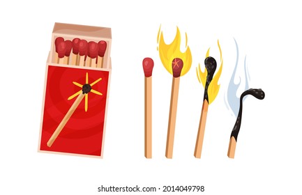 Matchbox and Matches as Small Wooden Stick for Starting Fire Vector Set