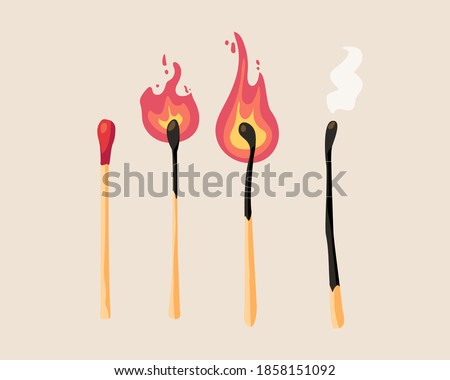 Matches. process of burning match with fire, burnt match isolated. smoke and fire.vector illustration