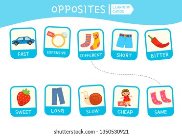 Matching children educational game. Match of opposites. Activity for pre sсhool years kids and toddlers.