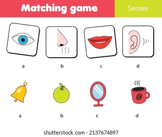 Juego educativo para niños. Coincidir objetos con sentidos humanos. Actividad de formas de aprendizaje para niños y niños pequeños.