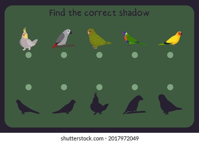 Matching children educational game with parrots - cockatiel, jaco, owl, loriiane, austaralian king. Find the correct shadow. Vector illustration.